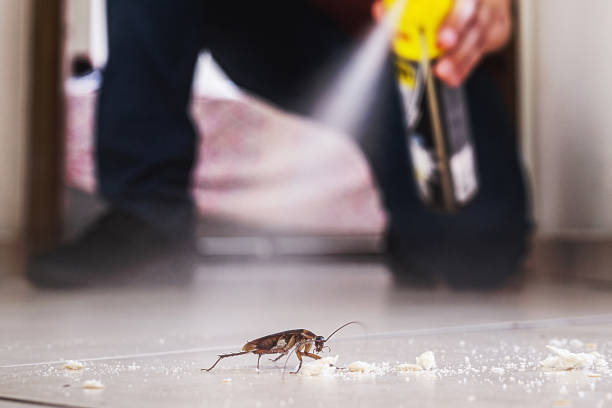 Best Termite Control Services  in Penndel, PA